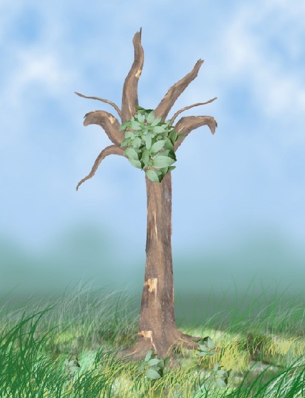 Creation of Tree: Step 10